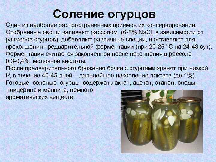 Почему соленые огурцы превратились в кашу. почему соленые огурцы становятся в банке мягкими? ошибки при засолке, которых не стоит допускать