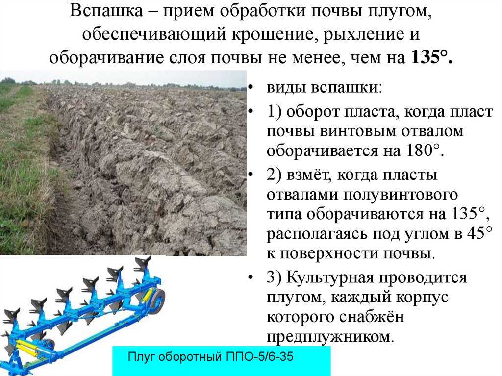 Нужно ли перекапывать огород под зиму: сроки, какие удобрения вносить