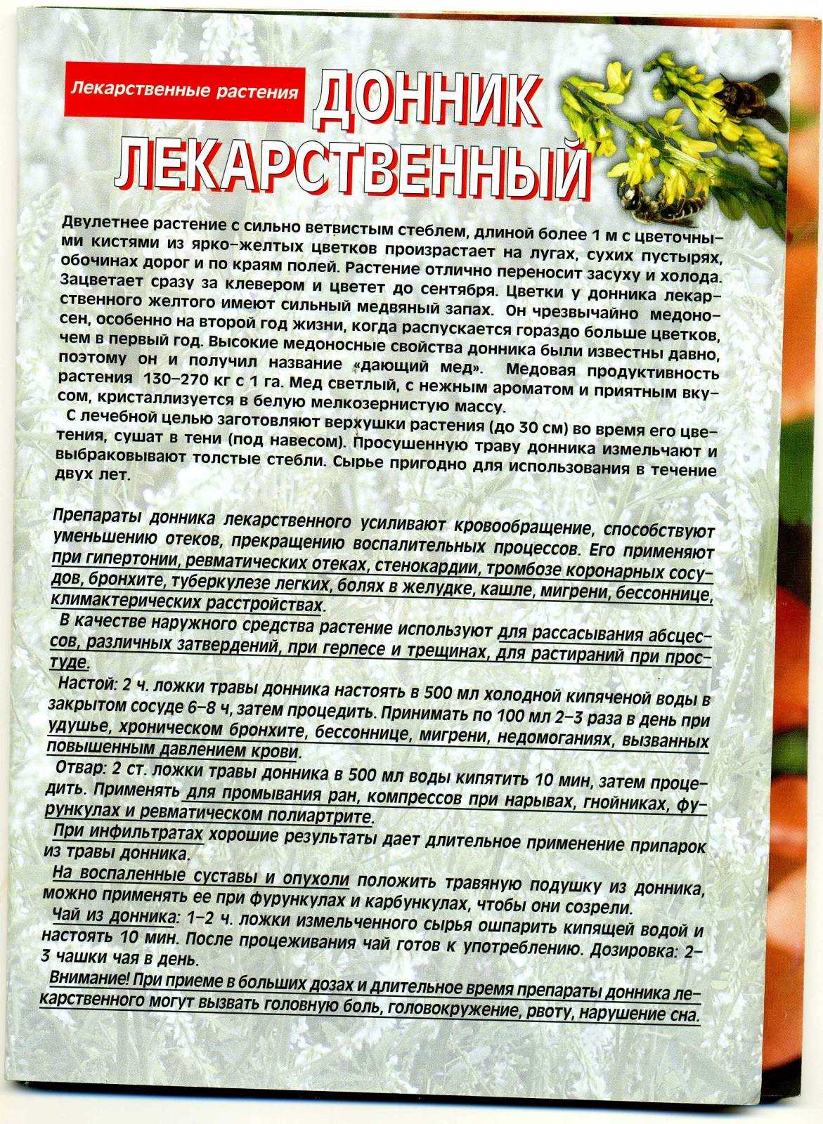 Трава донник - садоводство для начинающих