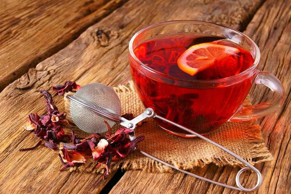 Комнатный гранат: домашний уход за растением