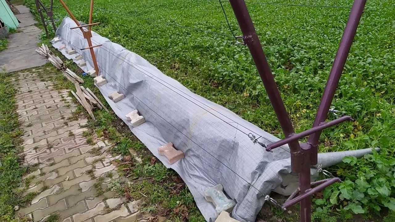 Осенние заморозки на винограднике