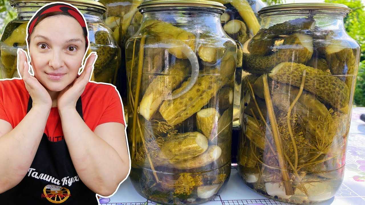 Переросшие огурцы на зиму: рецепты с фото пальчики оближешь. для рассольника, икра и салат из переросших огурцов , самый вкусный рецепт на зиму | жл