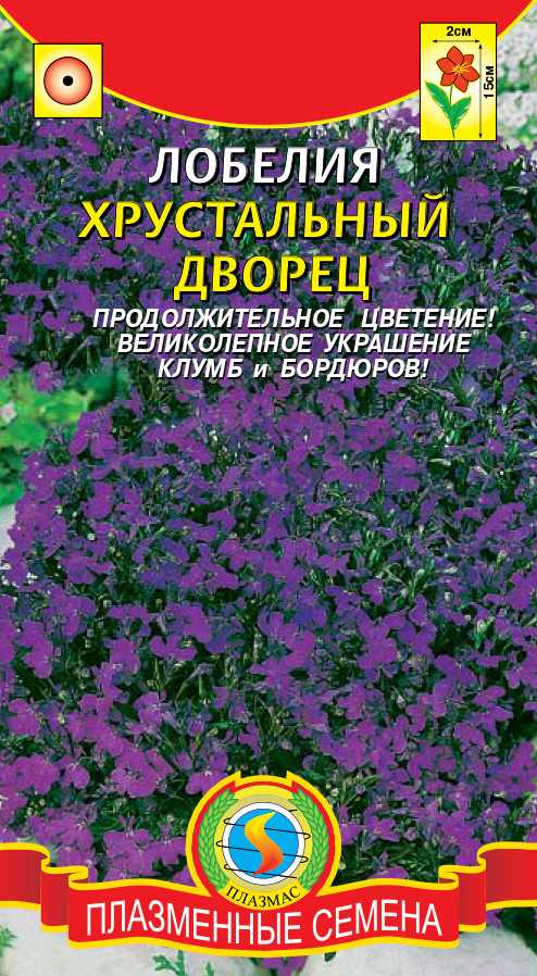 Как и когда посеять семена лобелии на рассаду