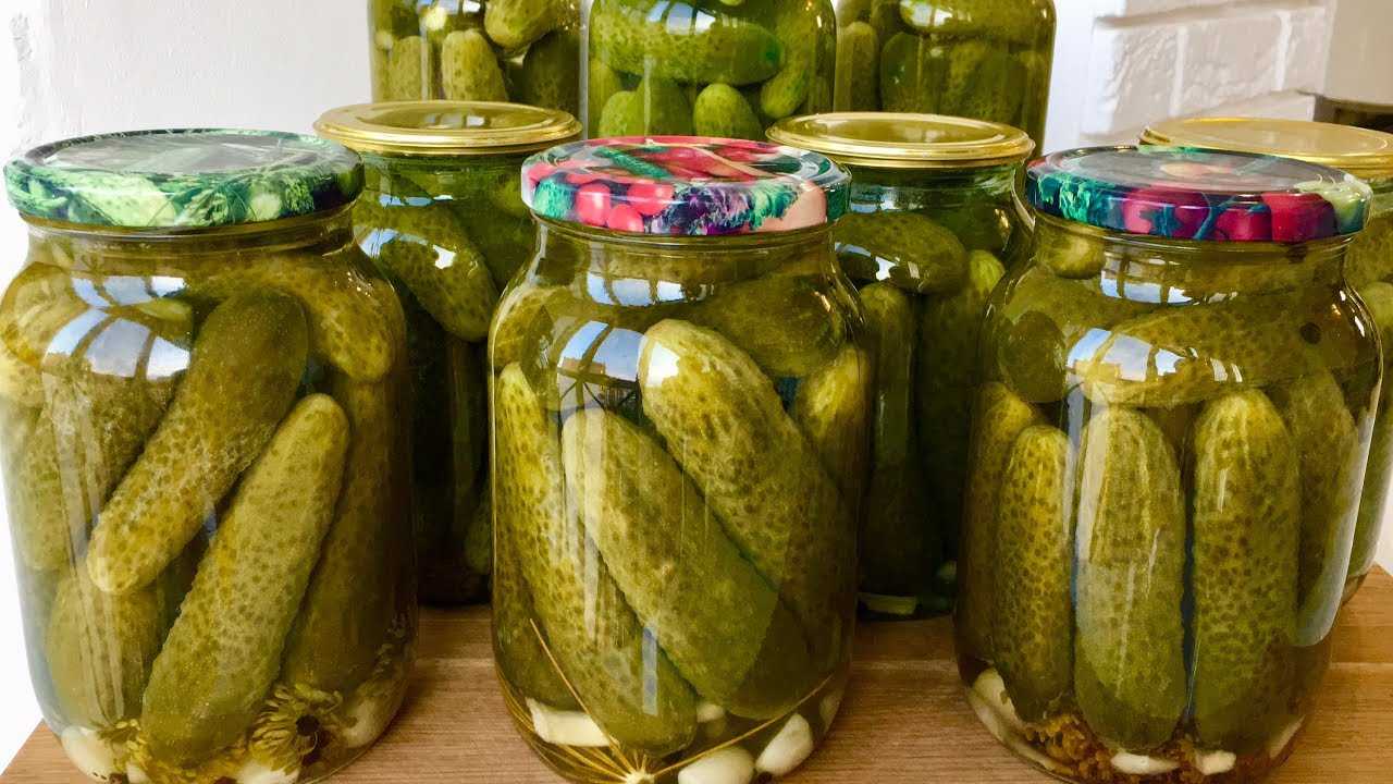 Малосольные огурцы — 7 рецептов быстрого приготовления