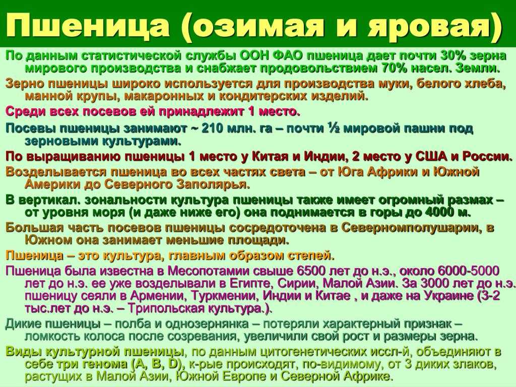 Зимующие и озимые сорные растения