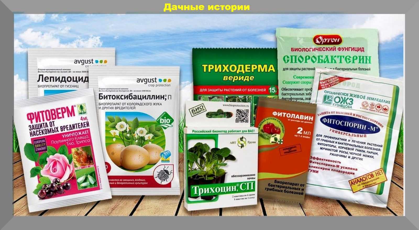 Биопрепараты от вредителей - дачные советы.ру