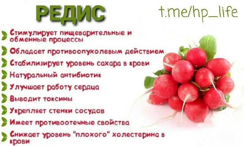 Таблицы бжу и калорийности продуктов питания на 100 грамм
