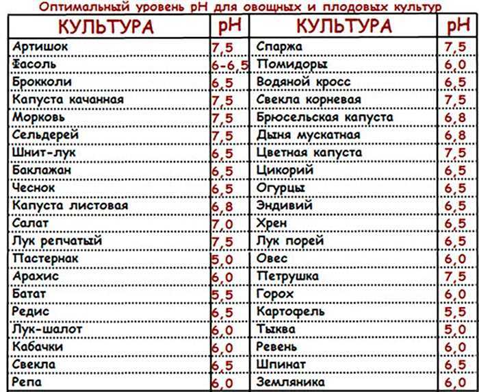 Правильная посадка малины осенью: выбор места и саженцев, уход