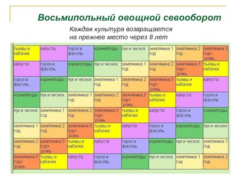 Правила севооборота на грядках, таблица чередования овощных культур