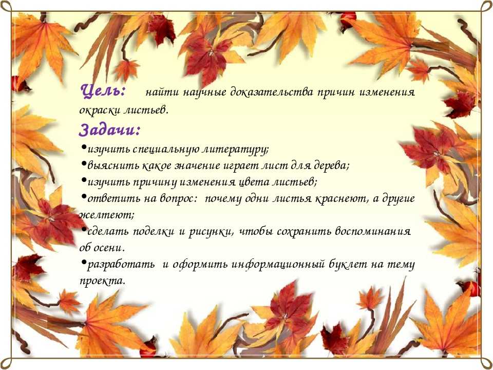 Что осенью происходит с дубом. 2 определяем вид дуба по его листве