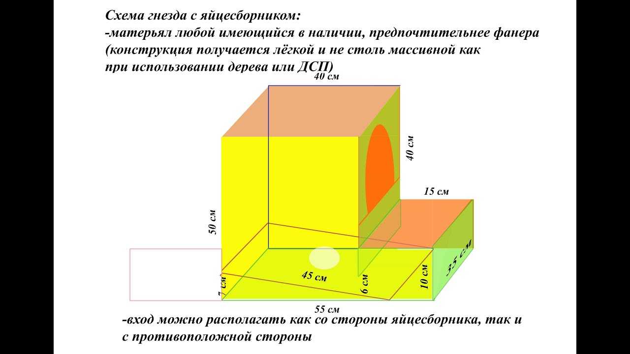 Гнездо для кур несушек с яйцесборником своими руками чертежи и размеры