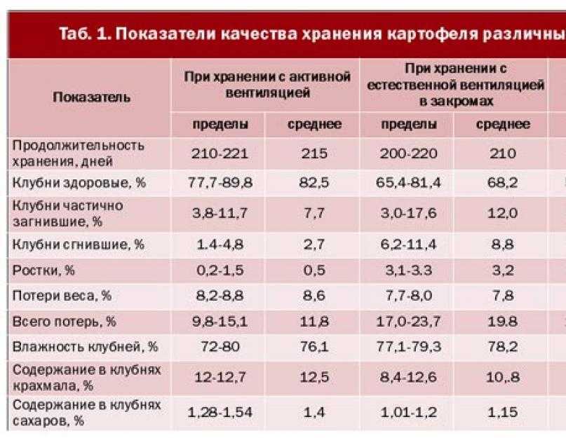 Обработка картофеля перед хранением – правильная подготовка