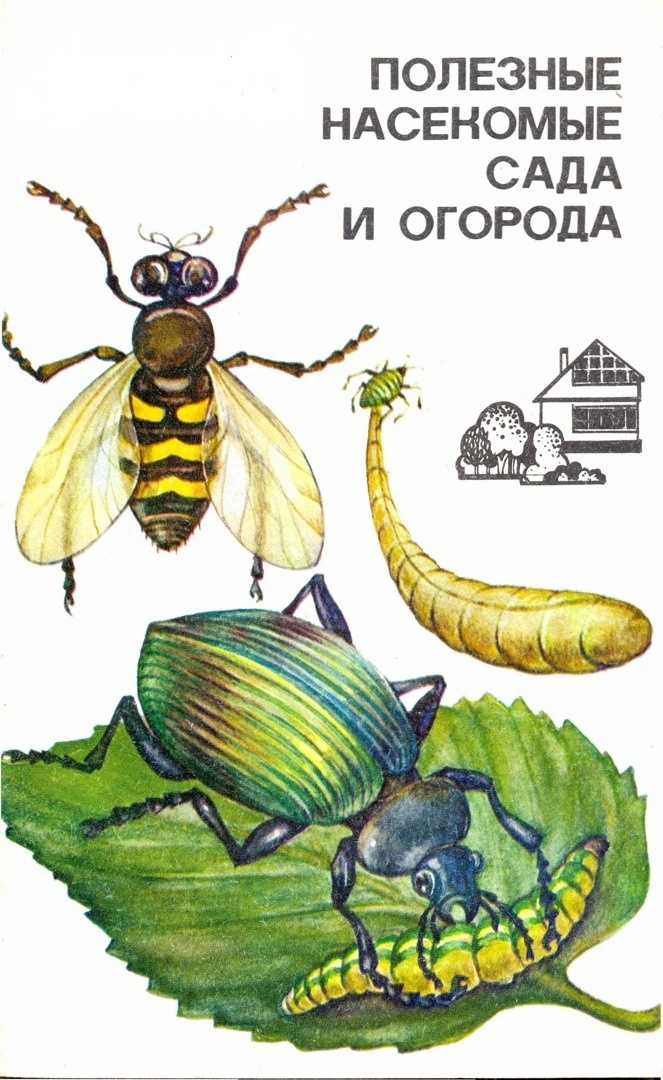 14 полезных насекомых для вашего сада или огорода | знание – свет