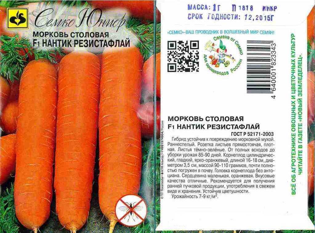 Морковная муха – как с ней бороться (препараты, народные средства)