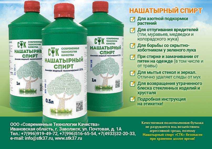 Вредители орхидеи фаленопсис: фото, описание и способы лечения, в том числе щитовка, мучнистый червец и тля, а также как обнаружить их на листьях?