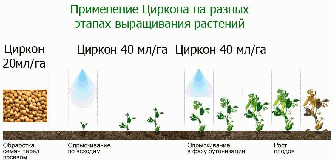 Состав и инструкция применения удобрения циркон и флористина для комнатных растений, препарат цитокон