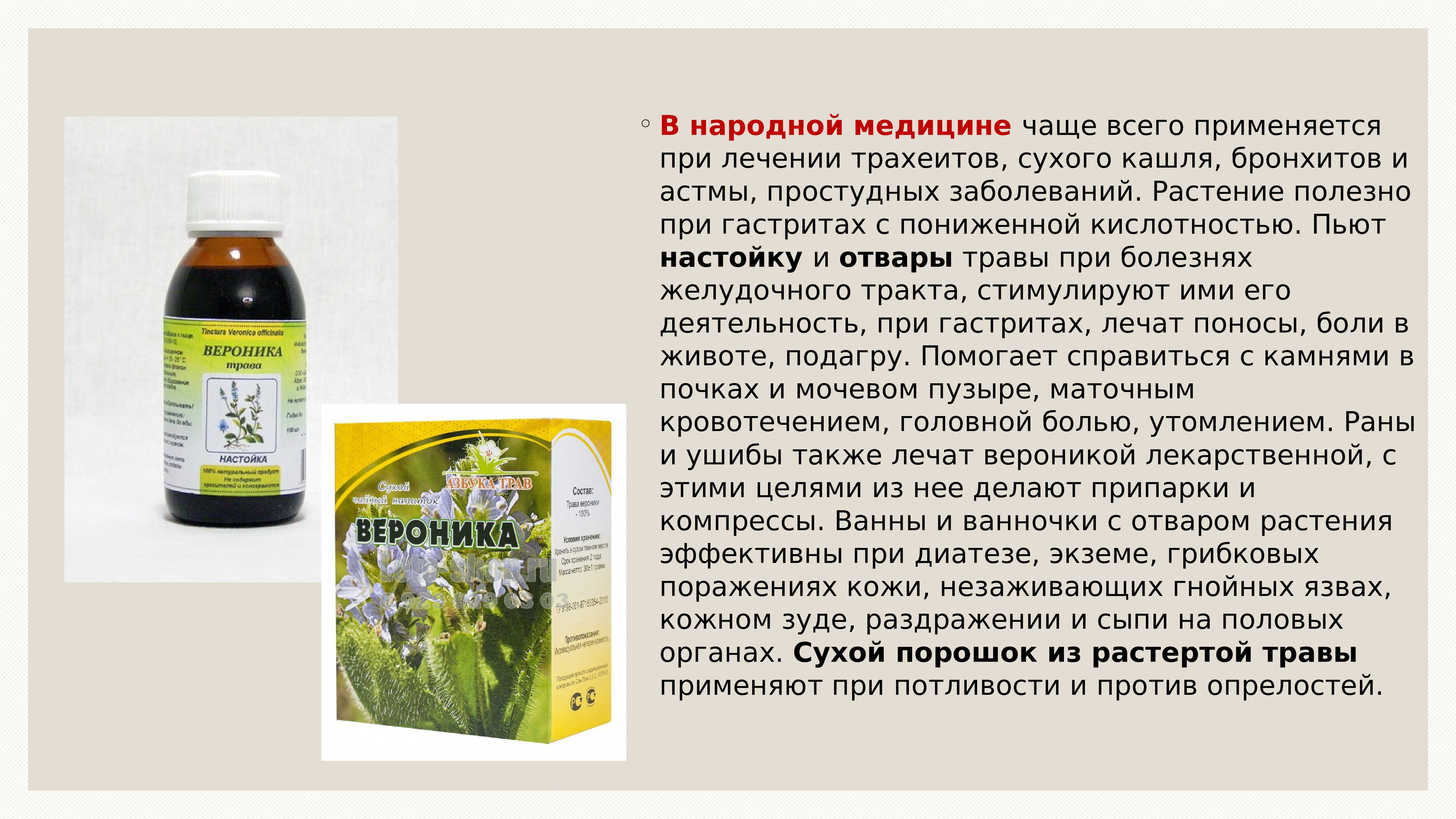 Как вырастить алоэ из листа: хватит ли одного, как срезать, отделив от стебля, можно ли посадить цветок без корня, и таким образом, размножить в домашних условиях?дача эксперт