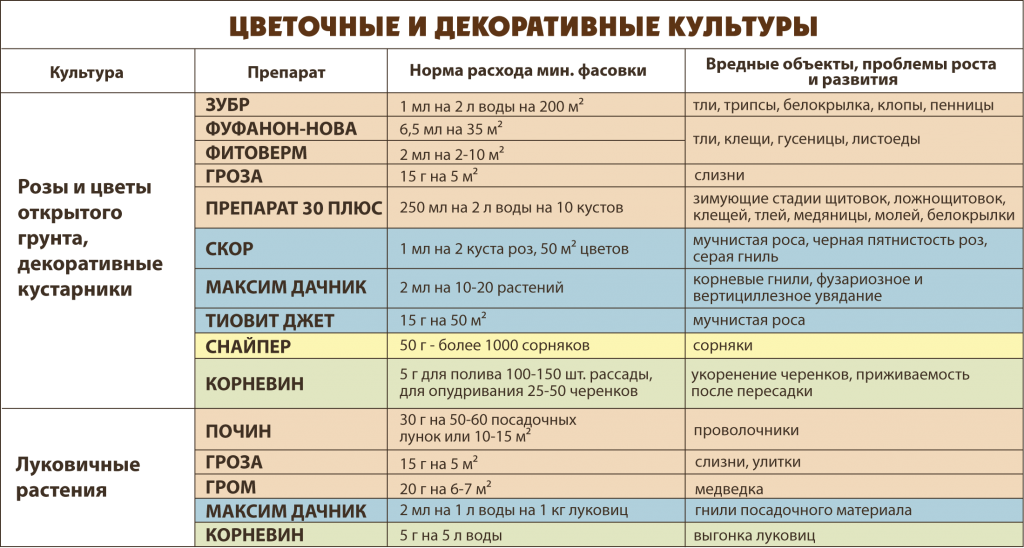 Золотая орхидея: история селекционирования, популярные сорта, уход, болезни и вредители, а также фото цветков selo.guru — интернет портал о сельском хозяйстве
