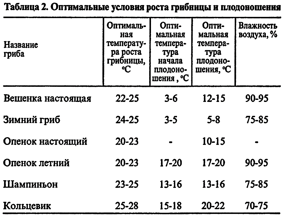 Как быстро растут грибы после дождя: как собрать урожай первым?