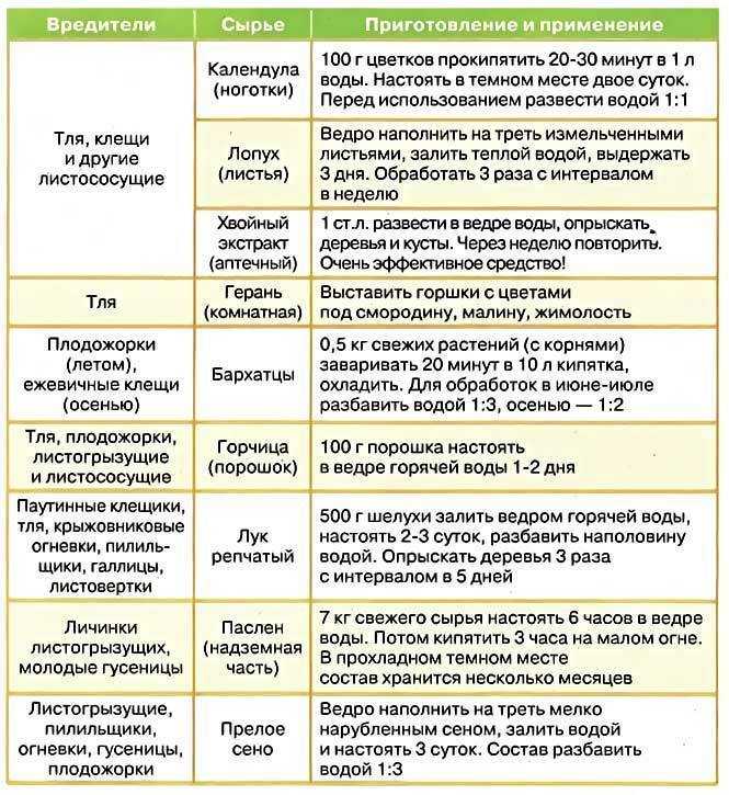 Опрыскивание мочевиной деревьев и кустарников весной и осенью