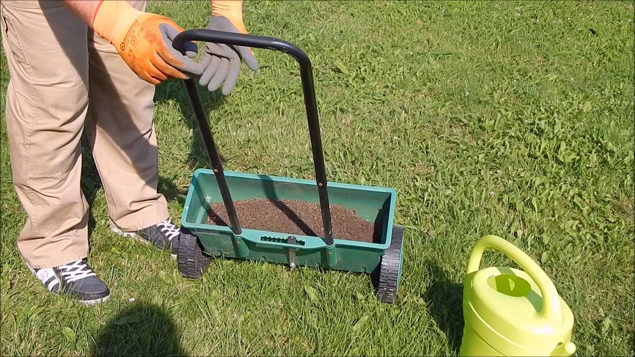 Подготовка газона к зиме: осенний уход, последняя стрижка, чем удобрить