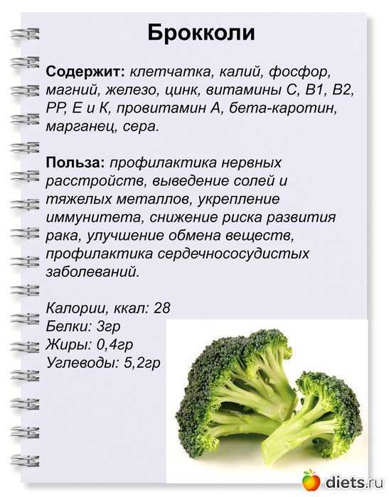 Капуста брокколи: особенности выращивания и ухода в открытом грунте, выбор семян, подготовка к посадке