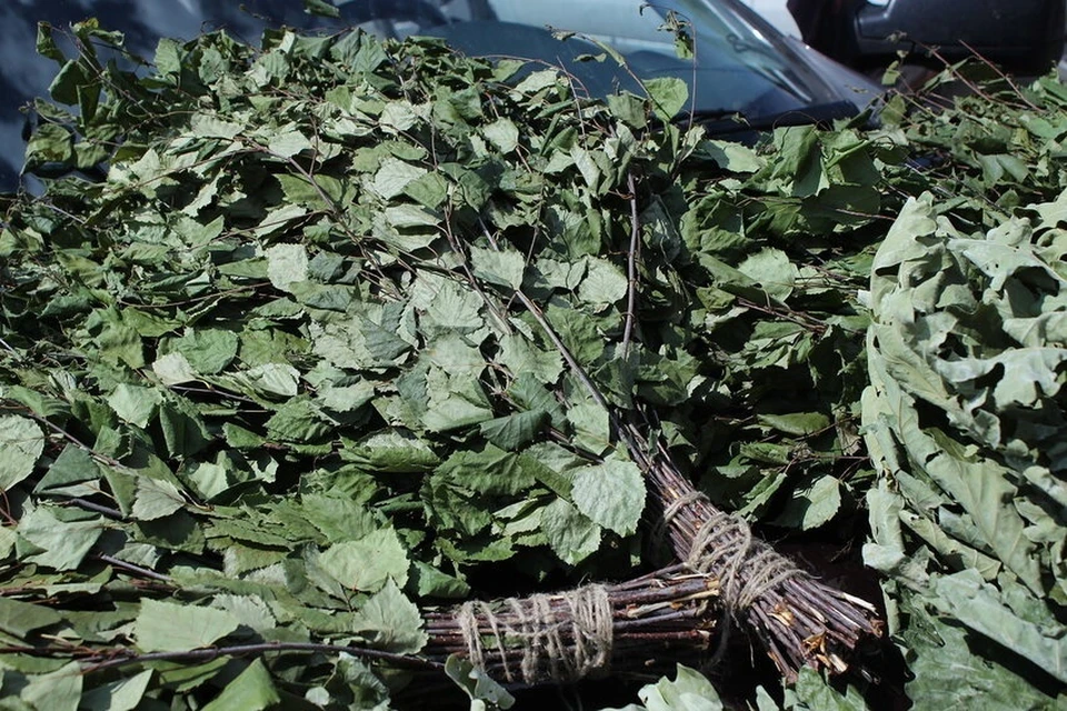 Как защитить картофельные грядки от заморозков — floraprice.ru