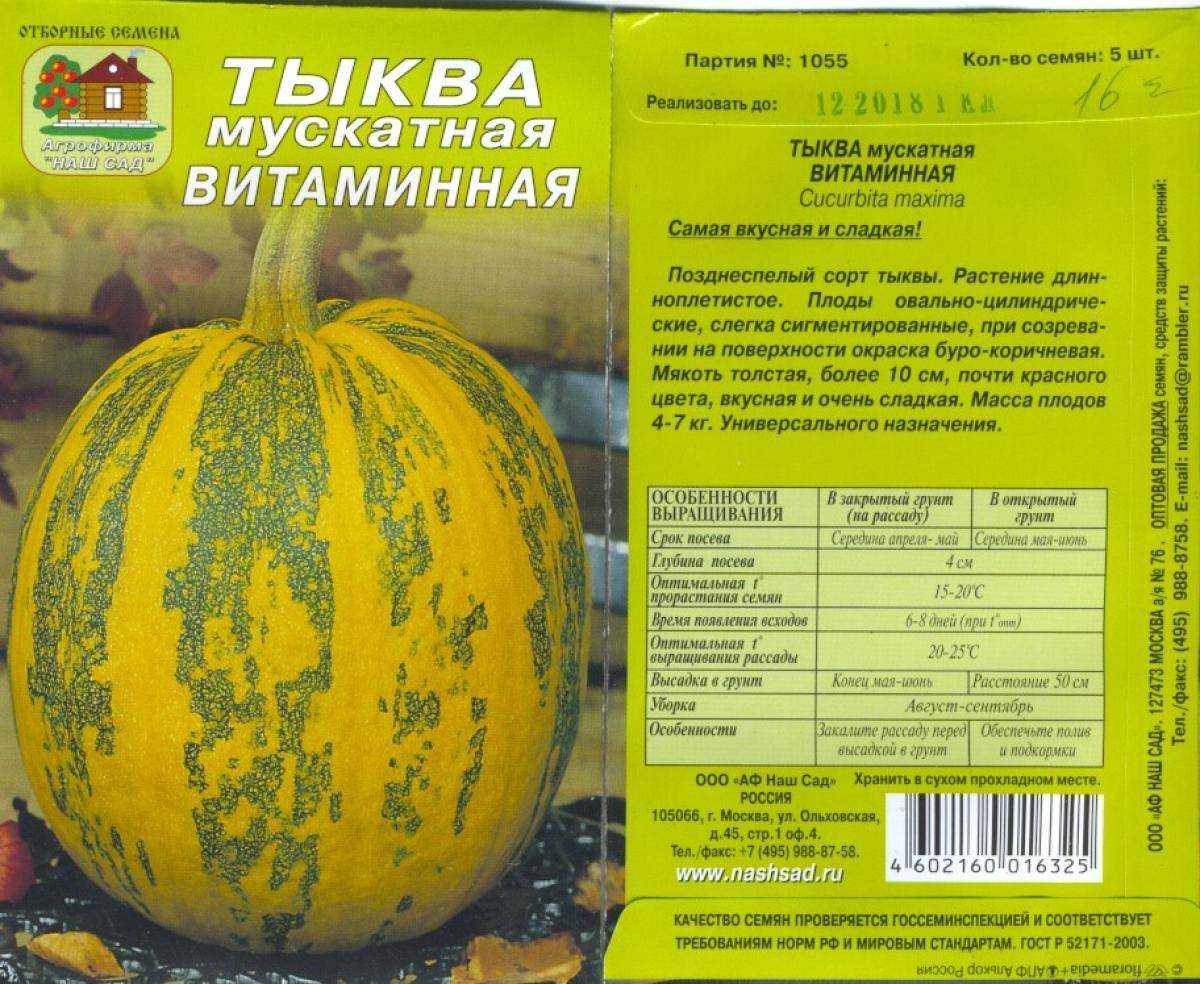 Краткий обзор выращиваемых тыквенных культур — floraprice.ru