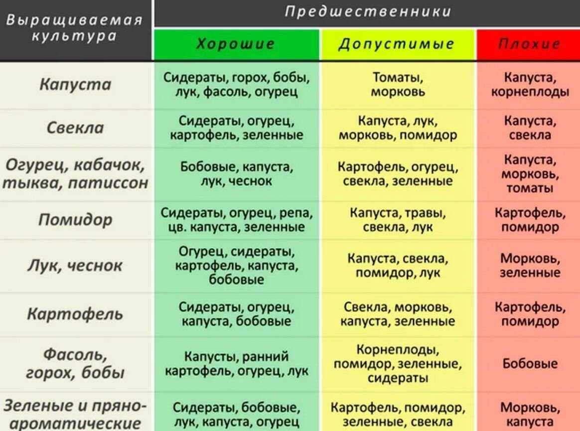 Пять способов севооборота для дачного участка. таблицы севооборота овощных культур — ботаничка