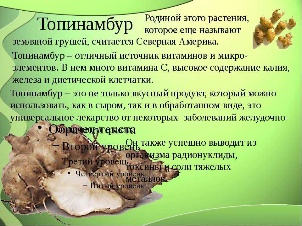 Топинамбур: полезные свойства и вред | food and health