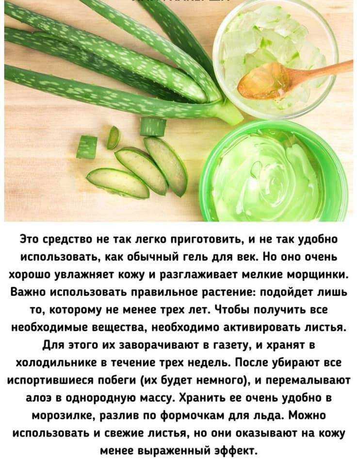Настойка алоэ на водке: применение, польза и от чего помогает, можно ли приготовить и принимать с самогоном, как сделать с медом, какие еще есть лечебные рецепты? selo.guru — интернет портал о сельском хозяйстве