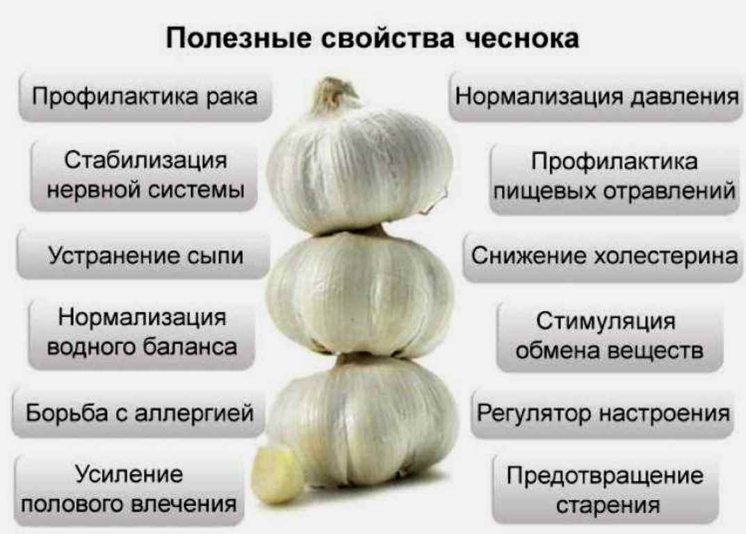 Изжога и тошнота - причины, симптомами каких заболеваний являются, методы лечения
