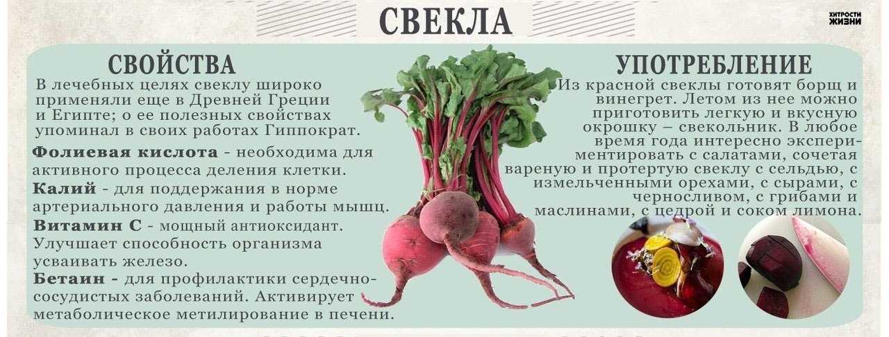 Если каждый день есть свеклу: что будет с организмом
