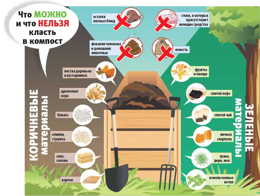 Перегной и компост: в чем разница. ценность удобрения
