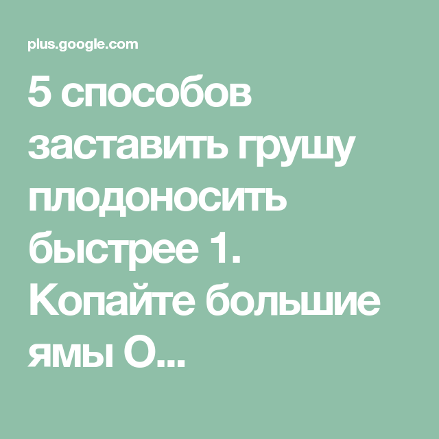 Почему не плодоносит груша ?: не цветет, что делать, причины, как заставить грушу плодоносить | qlumba.com
