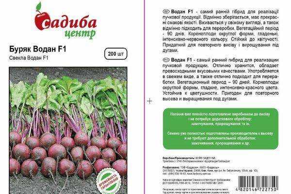 Кормовая свекла: выращивание и уход, как посадить, посев, когда сеять — как сажать кормовую свеклу семенами в открытом грунте