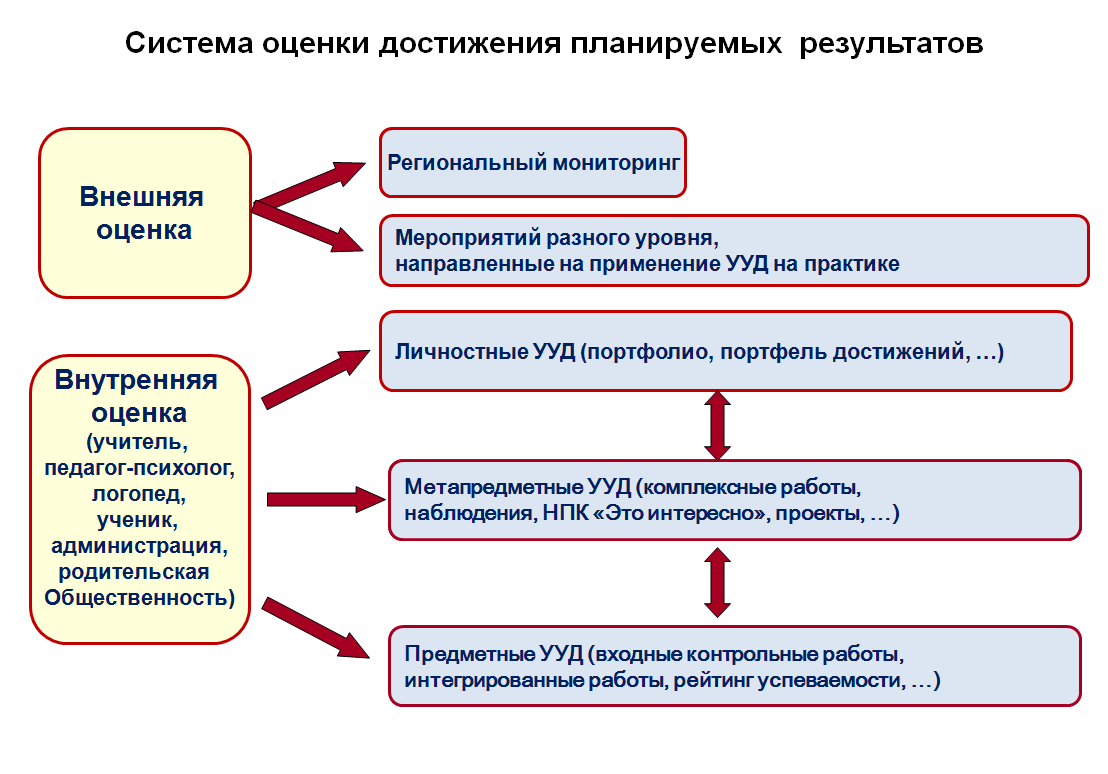 Как провести размножение и прививание кактусов дома