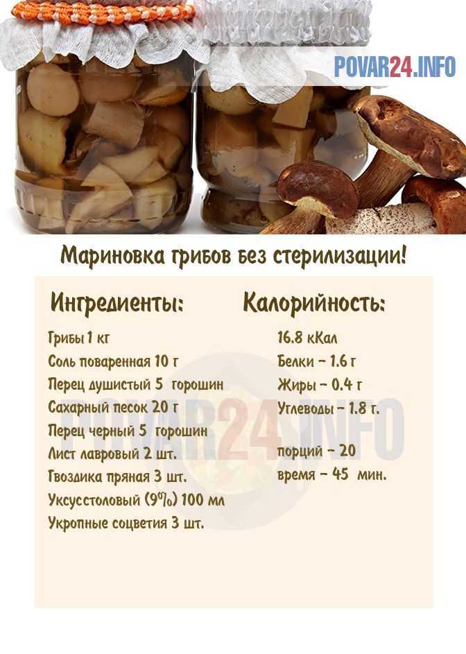 Рядовка тополевая (подтопольник): особенности гриба