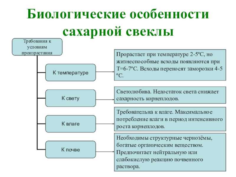 Формирование и утилизация отходов сахарного производства