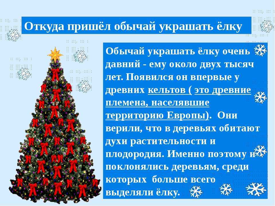 Ель — вечнозеленая красавица из леса. ёлка. виды. описание и фото. — ботаничка