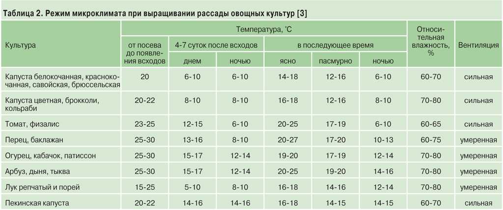 При какой температуре хранить капусту (свежую) зимой, как можно и нужно организовать условия хранения урожая?