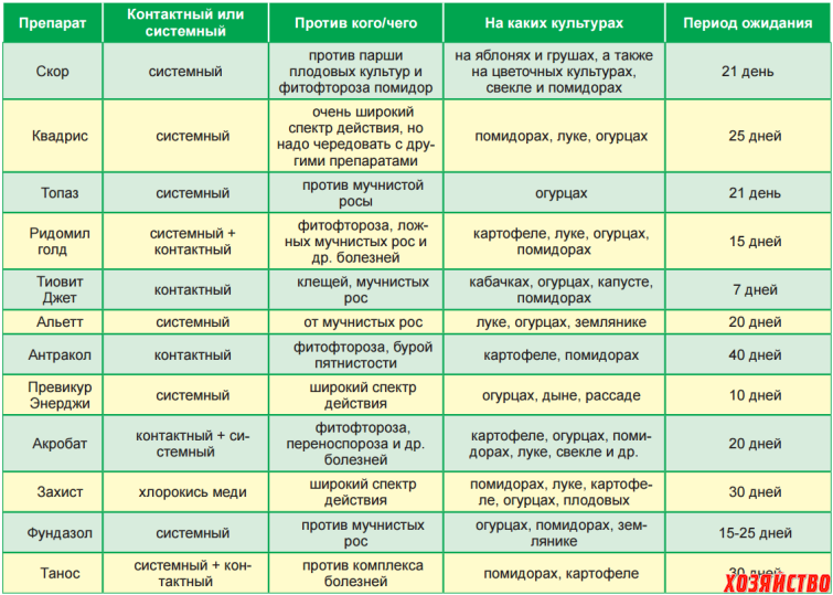 Какую температуру выдерживает рассада капусты