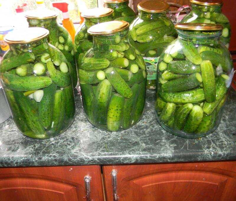 Соленые хрустящие огурцы в банках на зиму — простые и супер вкусные рецепты