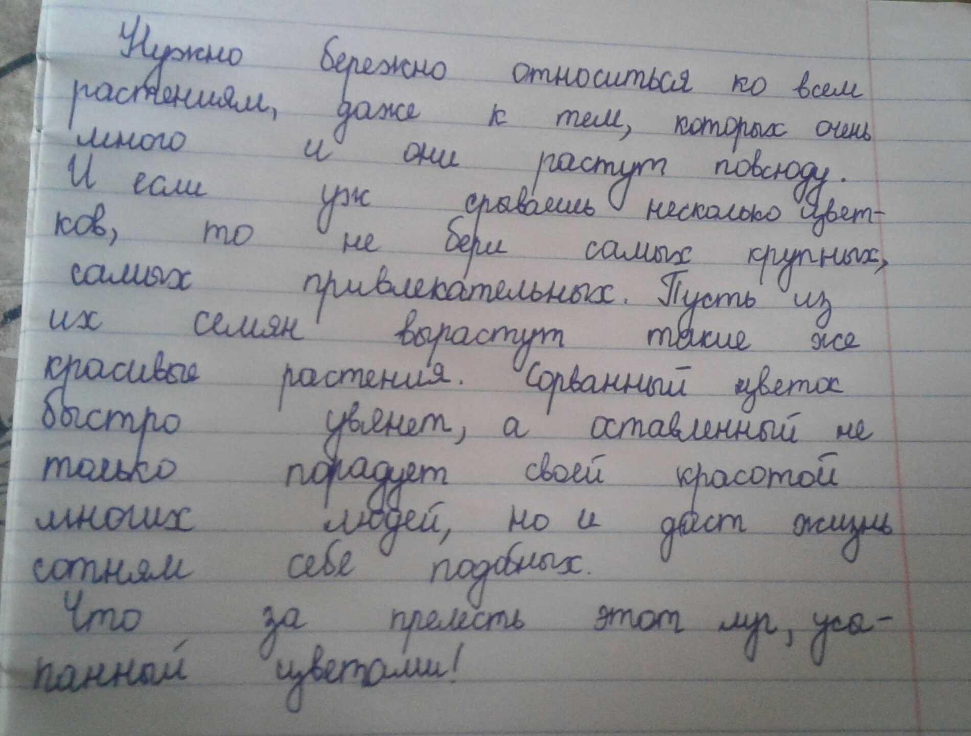 Сколько хранится роза в колбе, почему так долго держится, в чем секрет цветка, который живет 5 лет, настоящий он или нет, если стоит и не вянет, чем обрабатывают? selo.guru — интернет портал о сельско