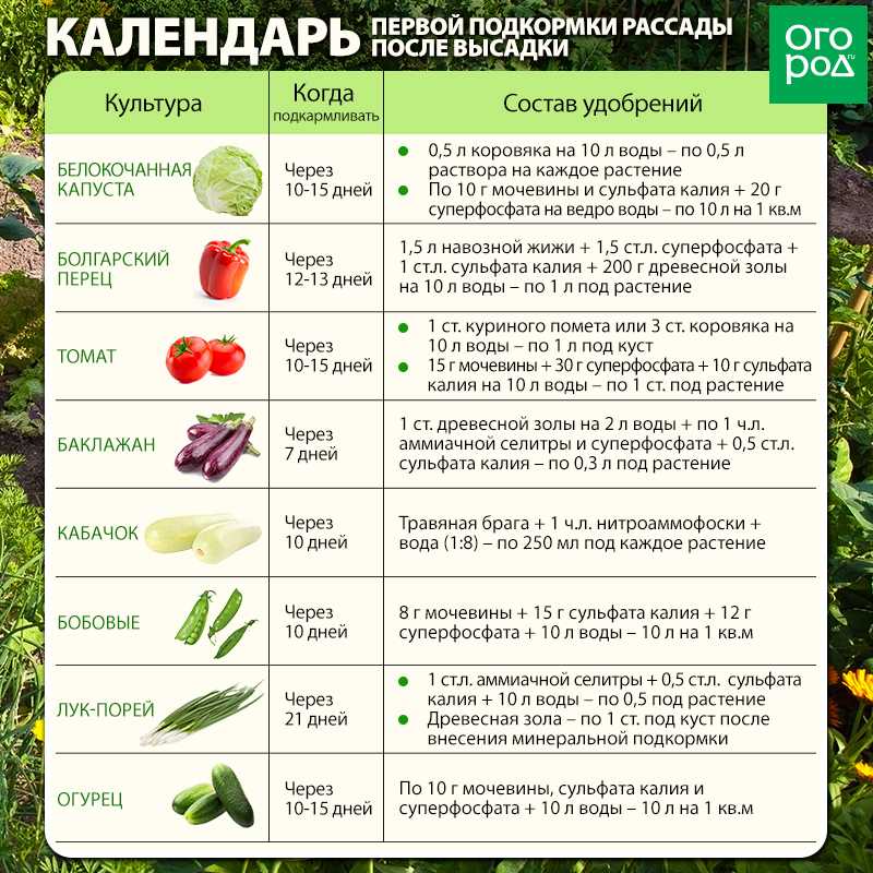 Посадка моркови для хранения
