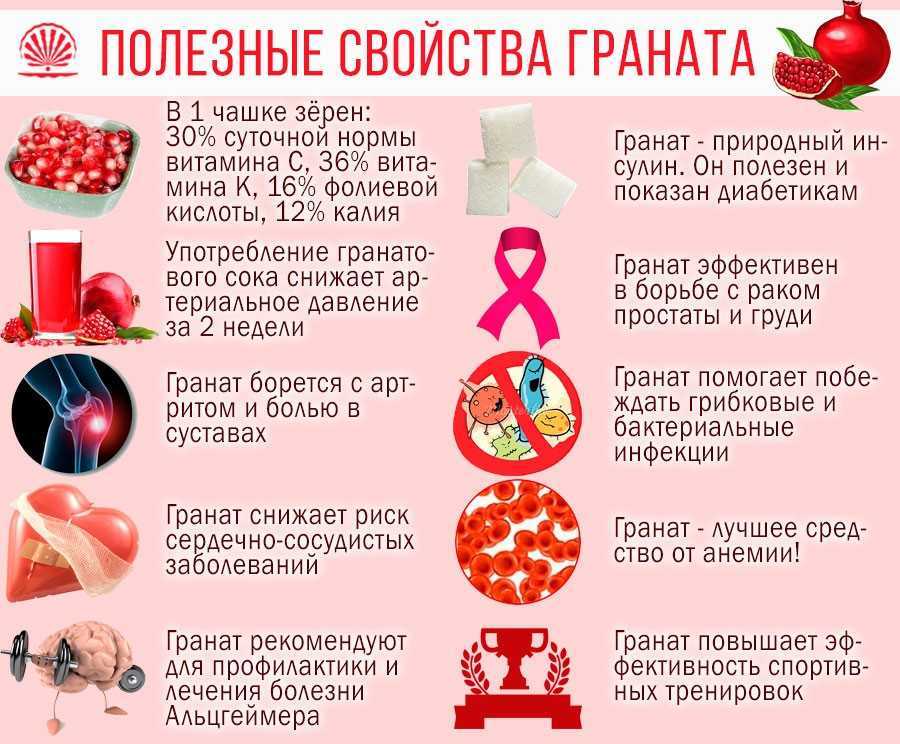 Можно ли есть гранат: что будет если есть каждый день, как часто допустимо употреблять и сколько съедать, суточная норма, какое количество можно кушать