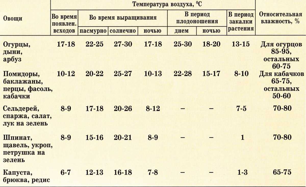 Боится ли мороза цветная капуста, при какой температуре растет цветная капуста осенью, какие заморозки выдерживает