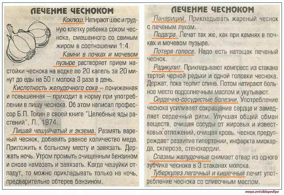 Настойка чеснока на красном вине: рецепт и применение, полезные свойства и влияние на организм человека, от чего помогает, как принимать для лечения сосудов? русский фермер