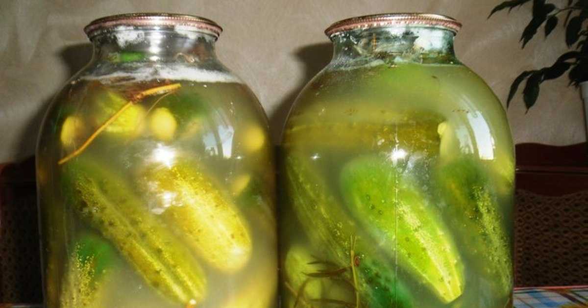 Почему засоленные в банке огурцы становятся мягкими и как предотвратить проблему