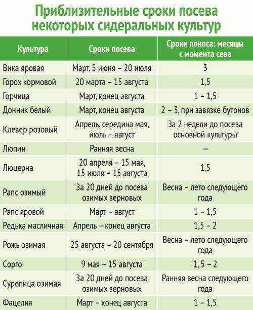 Сидераты: когда сеять и закапывать, какие сидераты лучше